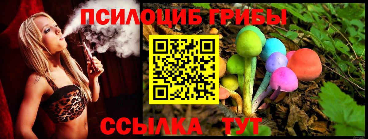 цены наркотик  Вход с VPN  Мценск  Галлюциногенные грибы мухоморы 